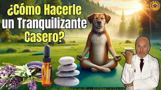 ☮️ ¿COMO HACER UN TRANQUILIZANTE CASERO PARA PERROS ☮️ [upl. by Lemyt]