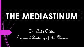 DIVISIONS amp CONTENTS OF THE MEDIASTINUM [upl. by Amati]