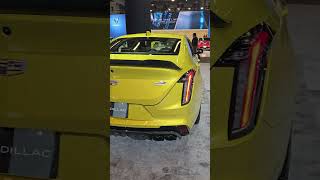 2024 Cadillac CT4V Blackwing spotted in stunning yellow at the 24 MTL Auto Show shorts [upl. by Iives363]