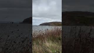 Oceanside view Nova Scotia [upl. by Ford173]