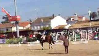 Miguel Ralão Duarte  Dressage Forum  Golegã 2007 [upl. by Yrffoeg10]