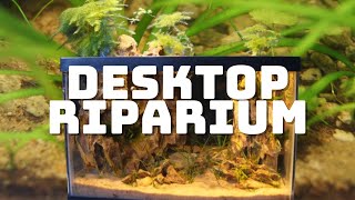 Desktop Riparium [upl. by Riordan]