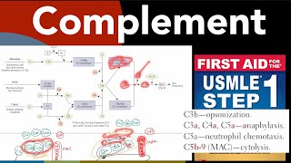 Complement Classic amp alternative pathway CD55DAF MAC opsonins in HindiUrdu by USMLE step 1 [upl. by Klara534]