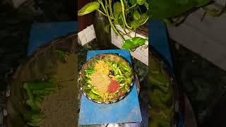 Instant Mirchi Ka Acharshortvideo youtubeshorts [upl. by Nayk94]