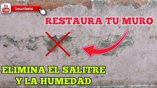 Como Quitar El salitre de las paredes  Elimina la humedad de la Pared  Repara la Pared de cemento [upl. by Malarkey280]