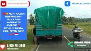 🛑💥MUAT GABAH BERIRINGAN 4 TRUCK DARI KABUPATEN SOPPENG‼️MENUJU TONRA KABUPATEN BONE🚛⁉️🇮🇩 [upl. by Ahsaeym]