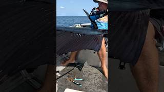 Monster Fish  How did he Get it shorts fishing billfish sailing ocean new today boat new [upl. by Niltac780]