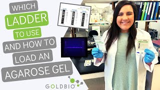 How to Load a DNA Agarose Gel Using Goldbio DNA Ladders [upl. by Soule742]