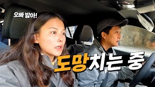 한치 앞을 알 수 없는 유럽 자동차 여행의 민낯 [upl. by Linea]