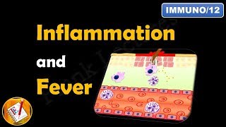 Inflammation or Inflammatory Response FLImmuno12 [upl. by Polito]