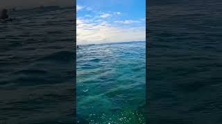 Heavy Shellharbour Barrels surfing surf gopro waves bodyboarding [upl. by Florella]