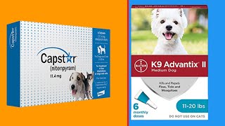 Top 6 Best Topical Flea Treatment For Dogs Review in 2023 [upl. by Eiralc]