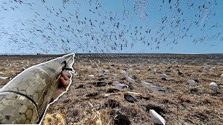 NEBRASKA SPRING SNOWGOOSE CONSERVATION SEASON MASSIVE TORNADO IN OUR FACES [upl. by Atnas]