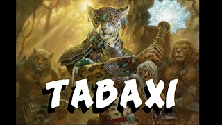 Dungeons and Dragons Lore Tabaxi [upl. by Atiuqel]