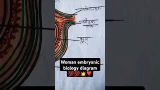 biology diagram class 12 th important woman embryonic stem bio class12  exam imp💯💯💥💥♥️♥️❣️❣️ [upl. by Ahsiekan]