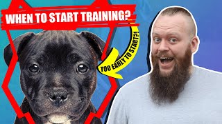 When Should I Start Training My STAFFORDSHIRE BULL TERRIER PUPPY [upl. by Stout]