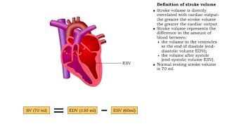 Volodymyr Pavliuk MD PhD Echocardiographic Assesment of Left Ventricular Systolic Function [upl. by Rednirah]