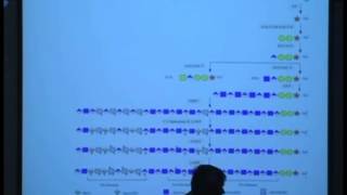 Structure of Proteoglycans and Glycosaminoglycans 1 [upl. by Anelys]