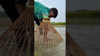 Real Polo Fishing Village boy catching by polo trap fishing [upl. by Einwahs788]