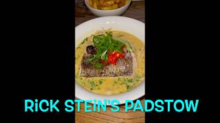 Padstow Cornwall Rick Steingoodfood finedining gastronomia tripadvisor holiday tourist [upl. by Areem946]