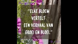 bijen en kruiden affirmaties quotes bijen natuurmonumenten [upl. by Yann286]