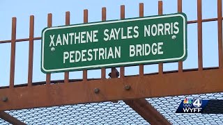 Hampton Avenue bridge opens on special day for councilwoman [upl. by Eglantine]