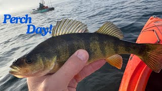 Fishing and Catching Perch All Day heres how [upl. by Wildee]