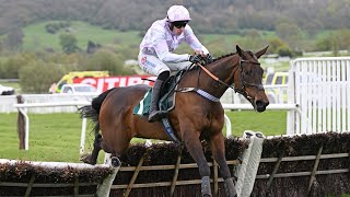 GOLDEN ACE could be Champion Hurdle horse next season [upl. by Beryl]