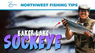 Baker Lake Sockeye Fishing 101 [upl. by Yenitirb563]