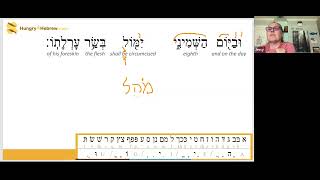 Tazria  Torah Portion Hebrew Study [upl. by Aihsekal]