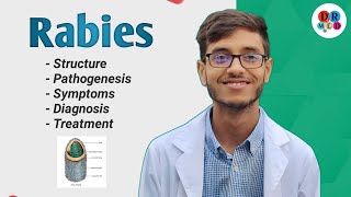 Rabies virus  Management of a dog bite  Community medicine  Microbiology bangla lecture [upl. by Ydoj]