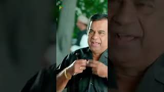 Dimple Naam Hai Mera  Brahmanandam Comedy  Bellamkonda  Saakshyam The Destroyer  shorts [upl. by Thorlay891]