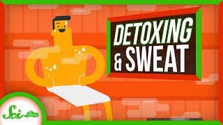 Why You Cant Really Sweat Out Toxins [upl. by Stevens434]