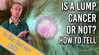 How to Tell if My Dogs Lump is Cancer or Not [upl. by Neff]