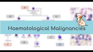 HAEMTEAM Haematological Malignancies 😈 [upl. by Ahsircal]