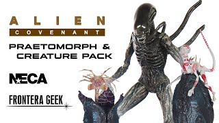 NECA  Alien Covenant PRAETOMORPH Xenomorph amp CREATURE PACK  Review en Español  Unboxing Review [upl. by Nnyladnarb279]