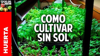 Como hacer un indoor casero paso a paso ideal para germinacion de semillas [upl. by Ariamo]