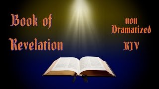 Revelation KJV Audio Bible with Text [upl. by Aillil]