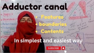 Adductor canal  features  contents  boundaries  lower limb anatomy ayesha medical education [upl. by Ezequiel736]