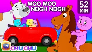 ChuChu TV Classics  Head Shoulders Knees amp Toes Exercise Song  More Popular Baby Nursery Rhymes [upl. by Pius848]