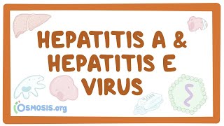 Hepatitis A and hepatitis E virus  causes symptoms diagnosis treatment pathology [upl. by Llenrag]