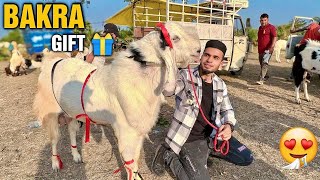 BAKRA mila GIFT main 😍 BHOPAL BAKRA MANDI VLOG  AL AAMIR KHAN [upl. by Zetta421]