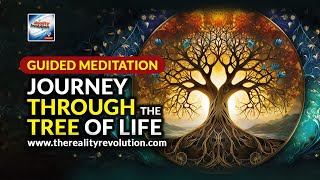 Guided Meditation  Journey Through The Tree Of Life [upl. by Carl123]