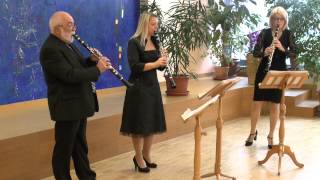 Musikschule Wertingen quotSagt holde Frauenquot  W A Mozart [upl. by Darton196]