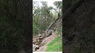 Hidden Beach in Jervis Bay fishing australia nature ocean goprounderwater creek travel [upl. by Assillem392]