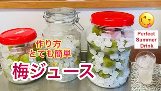 梅シロップの簡単な作り方  10日で完成  冷凍うめを使ったシロップレシピ  Green Plum Juice 🍹 [upl. by Mundford]