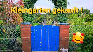 Ich habe einen Schrebergarten gekauft Führung durch meinen Kleingarten es gibt viel zu tun Garten [upl. by Emelin]