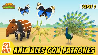 Animales con Patrones Episodio Compilación Parte 12 Español  Leo El Explorador  Familia [upl. by Nylzor]