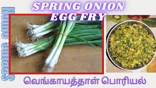 Spring Onion Egg Fry  Spring Onion Egg Recipe  வெங்காயத்தாள் முட்டை பொரியல் [upl. by Chao656]