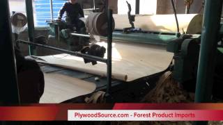 Veneer Rotary Peeling on Lathe Plywood Source  Hardwood Importing [upl. by Hadik]